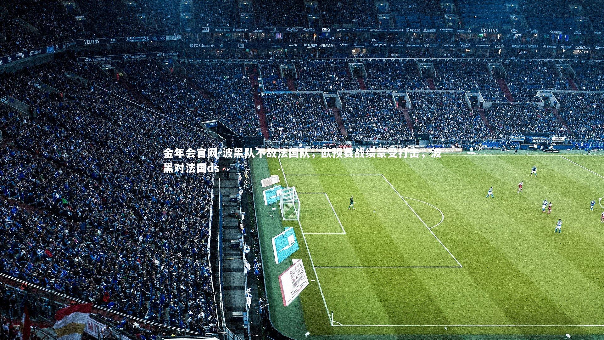 波黑队不敌法国队，欧预赛战绩蒙受打击，波黑对法国ds